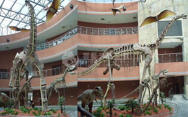 河源恐龙博物馆仿真恐龙骨架标本