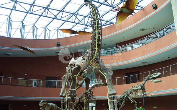 河源恐龙博物馆制作的恐龙标本模型展品