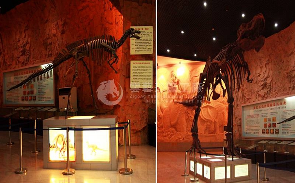 西峡博物馆恐龙化石展