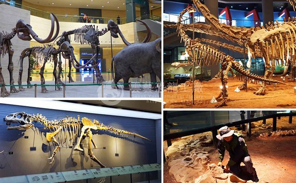 重庆自然博物馆恐龙化石制作