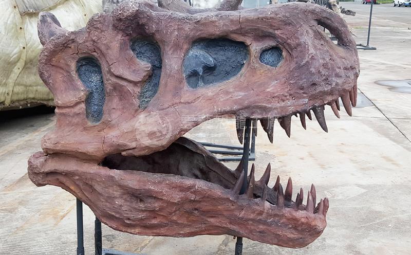 霸王龙头骨 T-rex Skull.jpg