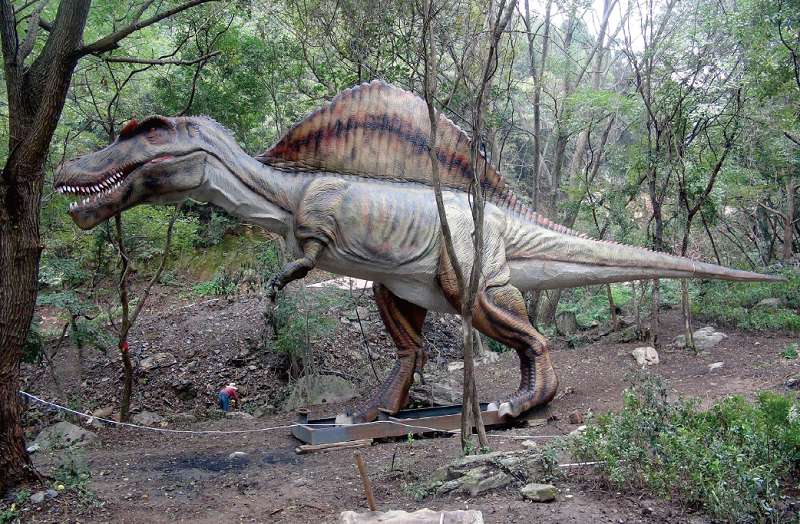 景区布置的8m长仿真恐龙-棘龙 