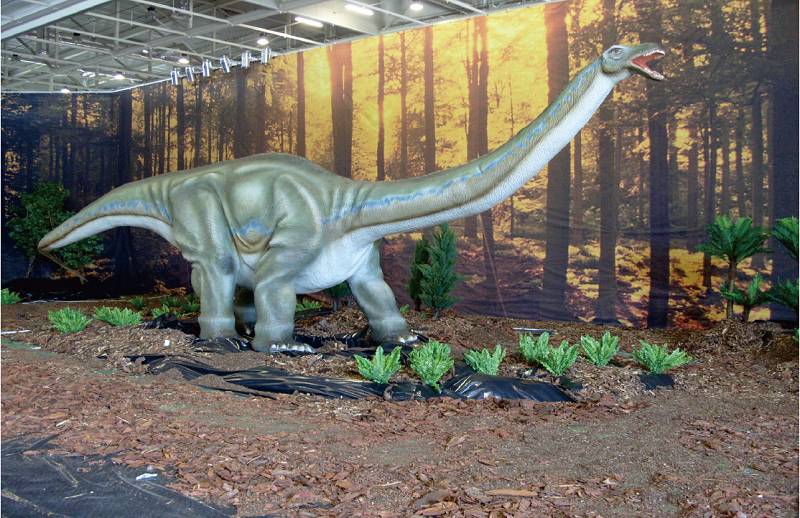 迷惑龙 Apatosaurus 12m.jpg